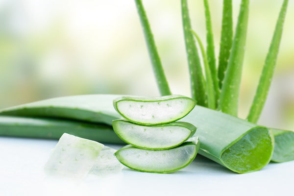 Aloe vera